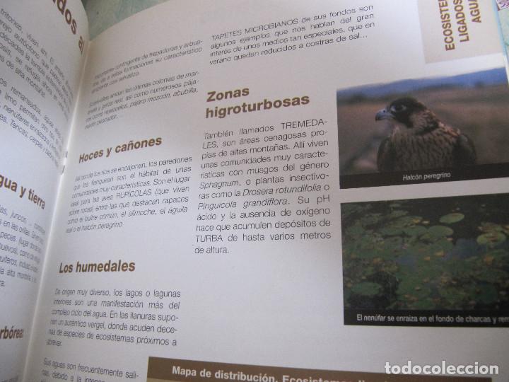 Libros de segunda mano: LOTE 4  CUADERNOS DE MEDIO AMBIENTE EN CASTILLA Y LEON - Foto 6