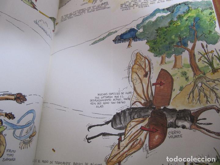 Libros de segunda mano: LOTE 4  CUADERNOS DE MEDIO AMBIENTE EN CASTILLA Y LEON - Foto 12