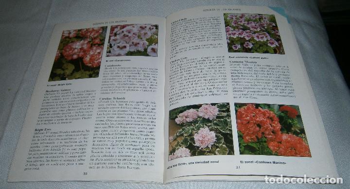 Libros de segunda mano: guias jardin Blume  Geranios - Foto 2