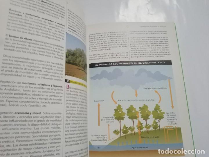 Libros de segunda mano: REFORESTACION PARTICIPATIVA.- JUNTA DE ANDALUCIA - Foto 3