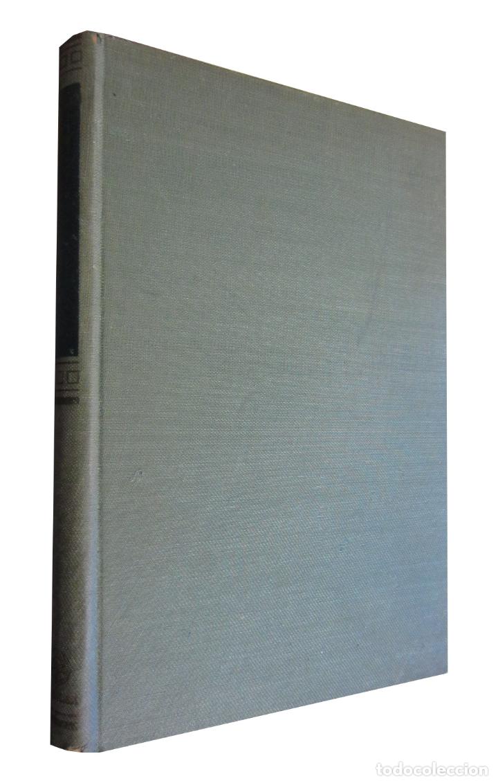 Second hand books of Sciences: ref.0032174 LA CARACTERIZACI&Oacute;N DE COMPUESTOS ORG&Aacute;NICOS (An&aacute;lisis Org&aacute;nico Fucional)