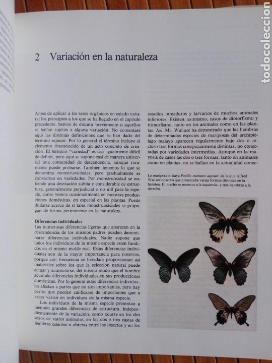 Libros de segunda mano: Libro El origen de las especies-Charles Darwin-Versi&oacute;n abreviada e introducci&oacute;n de Richard E. Leakey - Foto 4