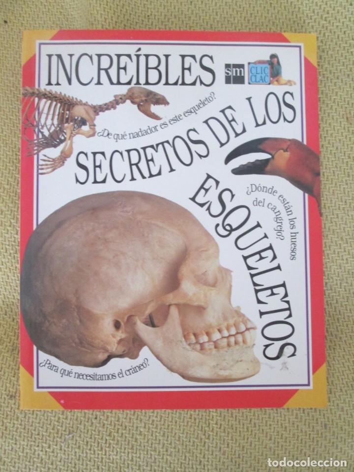 Libros de segunda mano: INCREIBLES SECRETOS DE LOS ESQUELETOS- SM - Foto 1