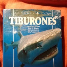 Libros de segunda mano: TIBURONES, DE JOHN STEVENS Y TONY PYRZAKOWSKI. GRAN FORMATO.. Lote 199327857
