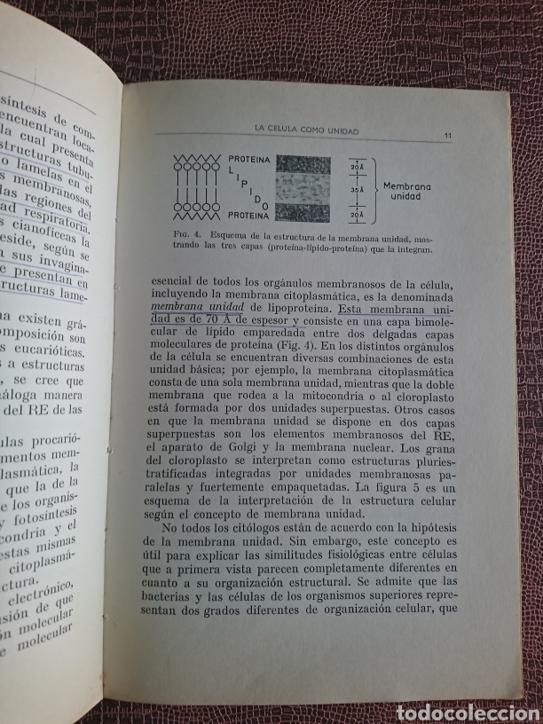 Libros de segunda mano: Org&aacute;nulos funcionales - Foto 4