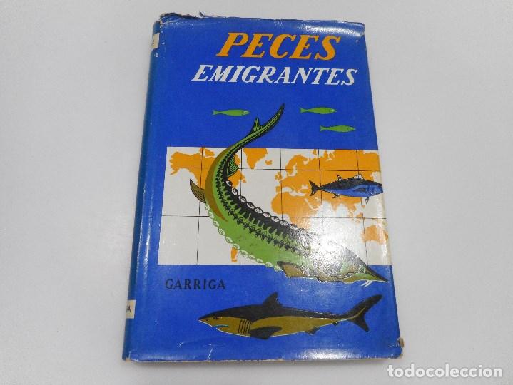 Libros de segunda mano: J. L&Oacute;PEZ     Peces emigrantes     Q80W - Foto 1