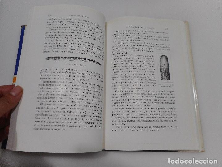 Libros de segunda mano: J. L&Oacute;PEZ     Peces emigrantes     Q80W - Foto 2