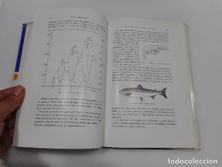 Libros de segunda mano: J. L&Oacute;PEZ     Peces emigrantes     Q80W - Foto 3