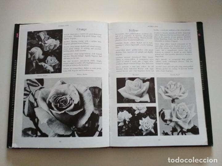 Libros de segunda mano: BOOK OF ROSES - XENIA FIELDS - Foto 3