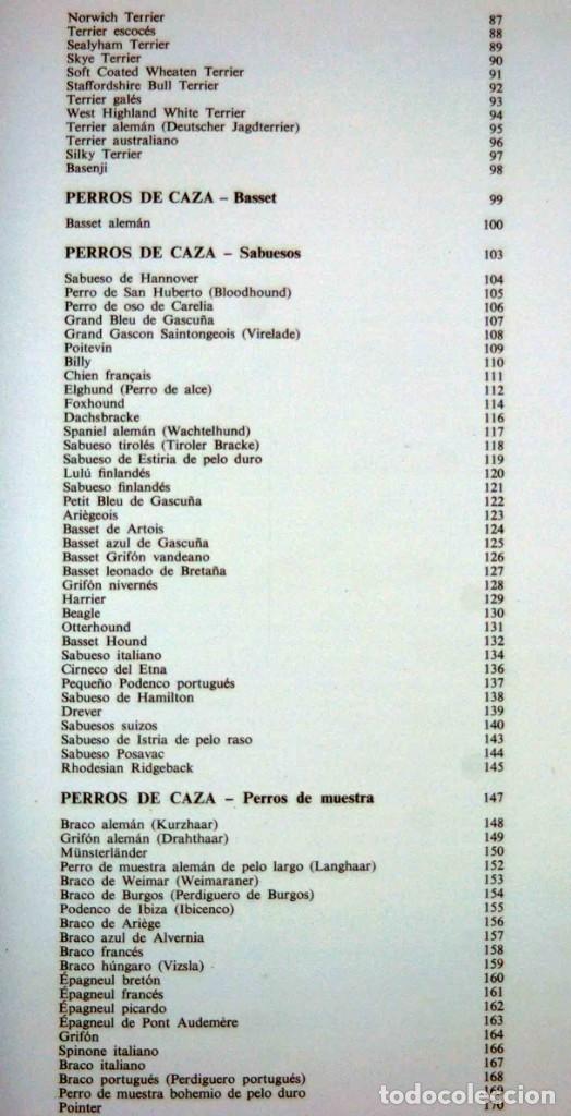 Libros de segunda mano: LAS RAZAS CANINAS DEL MUNDO - Foto 3