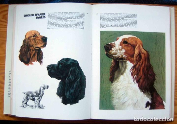 Libros de segunda mano: LAS RAZAS CANINAS DEL MUNDO - Foto 6