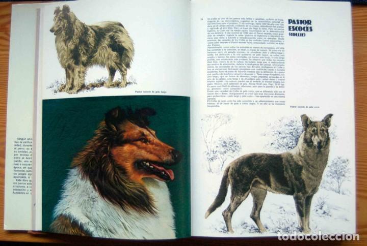 Libros de segunda mano: LAS RAZAS CANINAS DEL MUNDO - Foto 8
