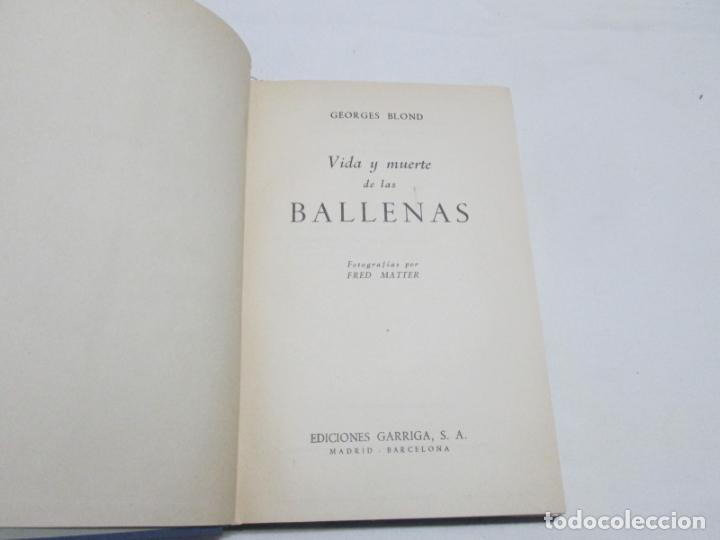 Libros de segunda mano: VIDA Y MUERTE DE LAS BALLENAS - GEORGES BLOND - 1958 - Foto 3