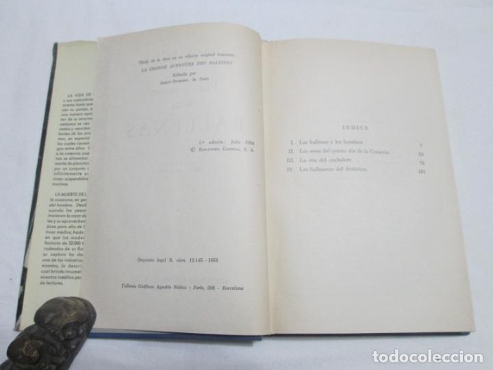 Libros de segunda mano: VIDA Y MUERTE DE LAS BALLENAS - GEORGES BLOND - 1958 - Foto 4