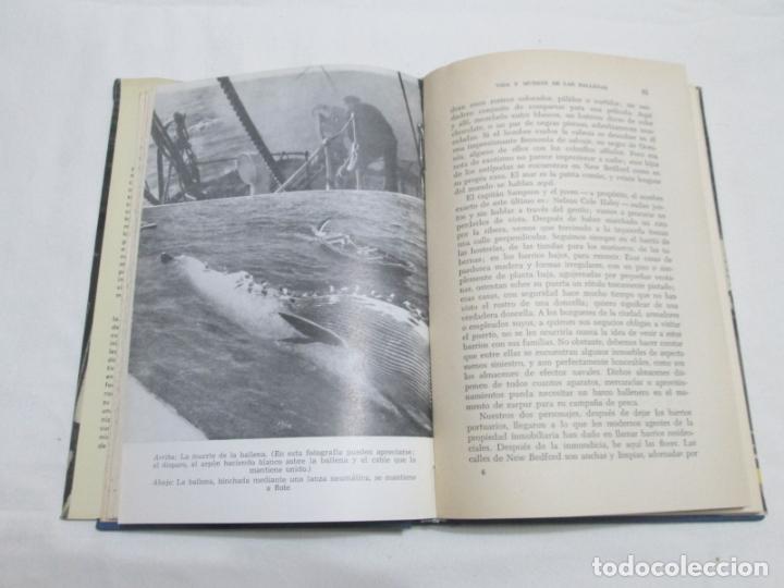 Libros de segunda mano: VIDA Y MUERTE DE LAS BALLENAS - GEORGES BLOND - 1958 - Foto 5