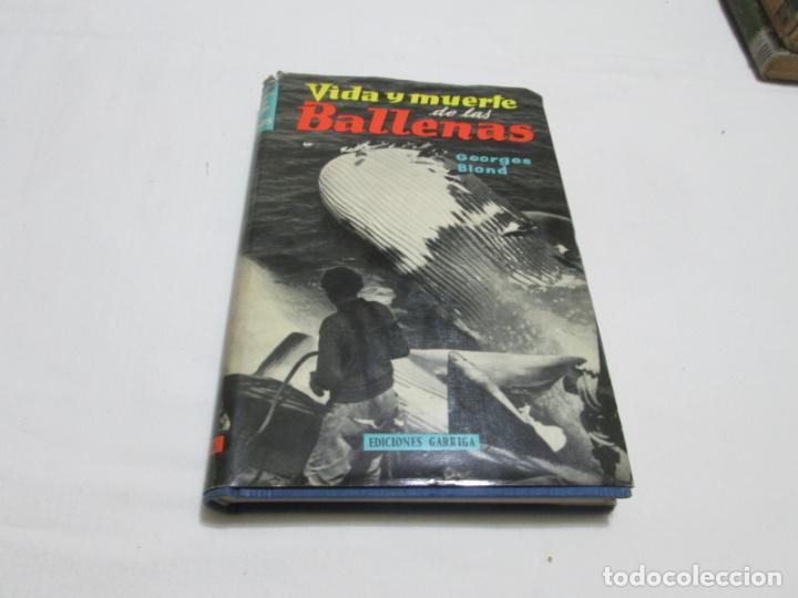 Libros de segunda mano: VIDA Y MUERTE DE LAS BALLENAS - GEORGES BLOND - 1958 - Foto 1