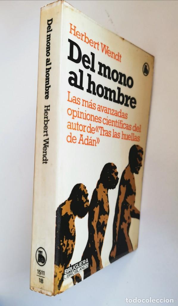 Libros de segunda mano: DEL MONO AL HOMBRE. (HERBERT WENDT) - Foto 1