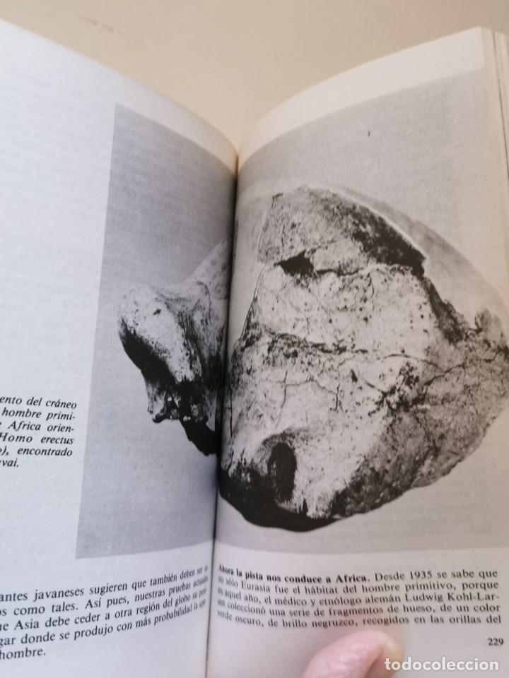 Libros de segunda mano: DEL MONO AL HOMBRE. (HERBERT WENDT) - Foto 2