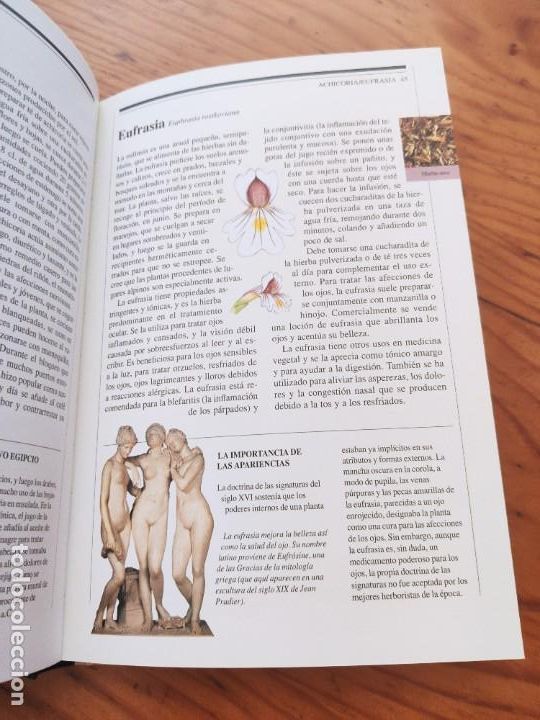 Libros de segunda mano: Herborismo. Frank J. Lipp - Foto 5