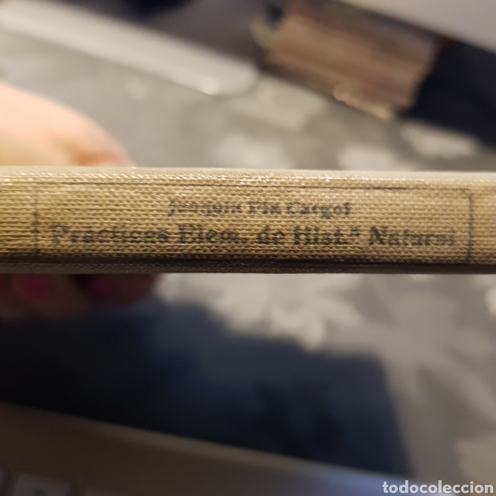 Libros de segunda mano: Pr&aacute;cticas elementales de historia natural. Joaqu&iacute;n Pla Cargol. - Foto 2