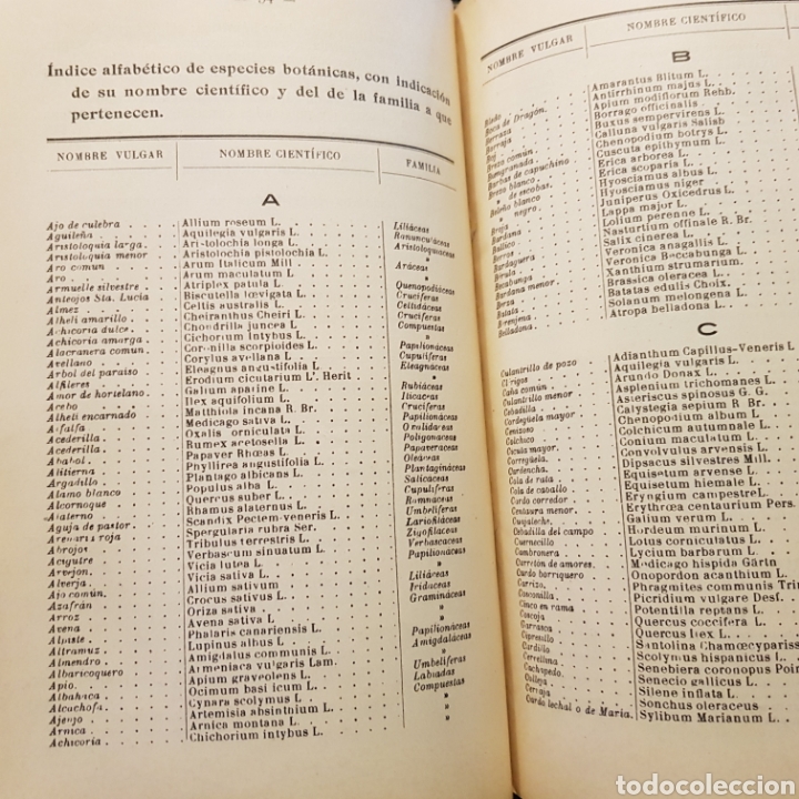 Libros de segunda mano: Pr&aacute;cticas elementales de historia natural. Joaqu&iacute;n Pla Cargol. - Foto 4