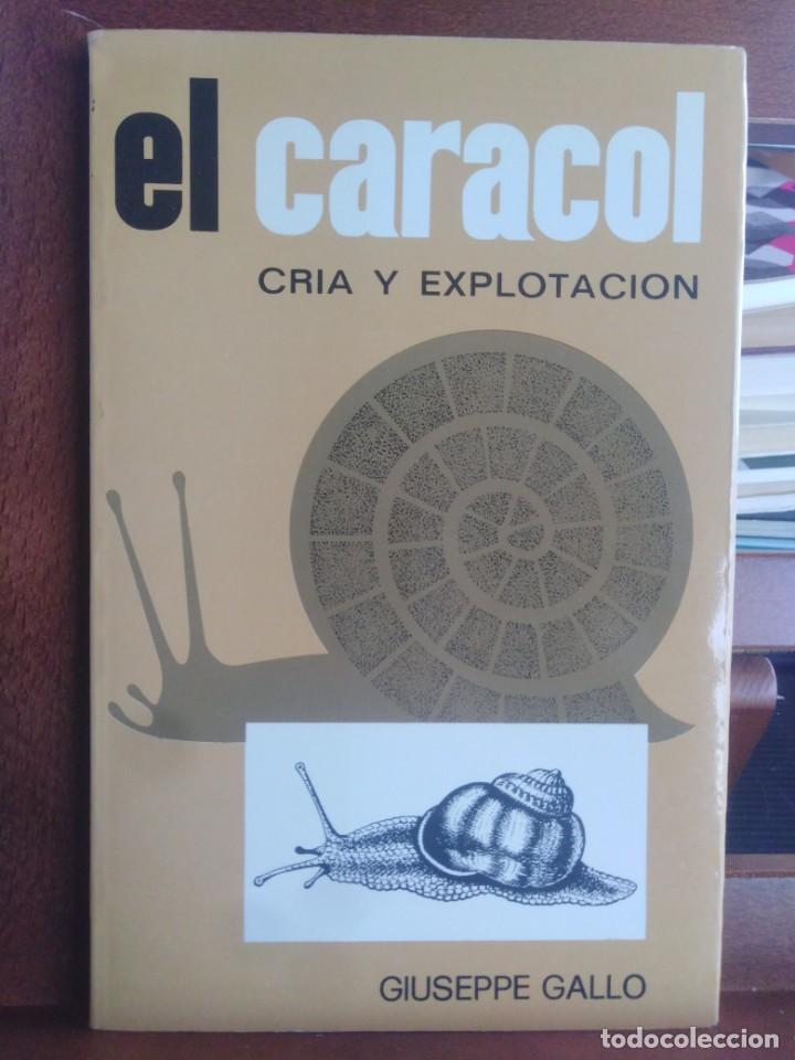 Libros de segunda mano: EL CARACOL - CR&Iacute;A Y EXPLOTACI&Oacute;N - Giuseppe Gallo - Foto 1