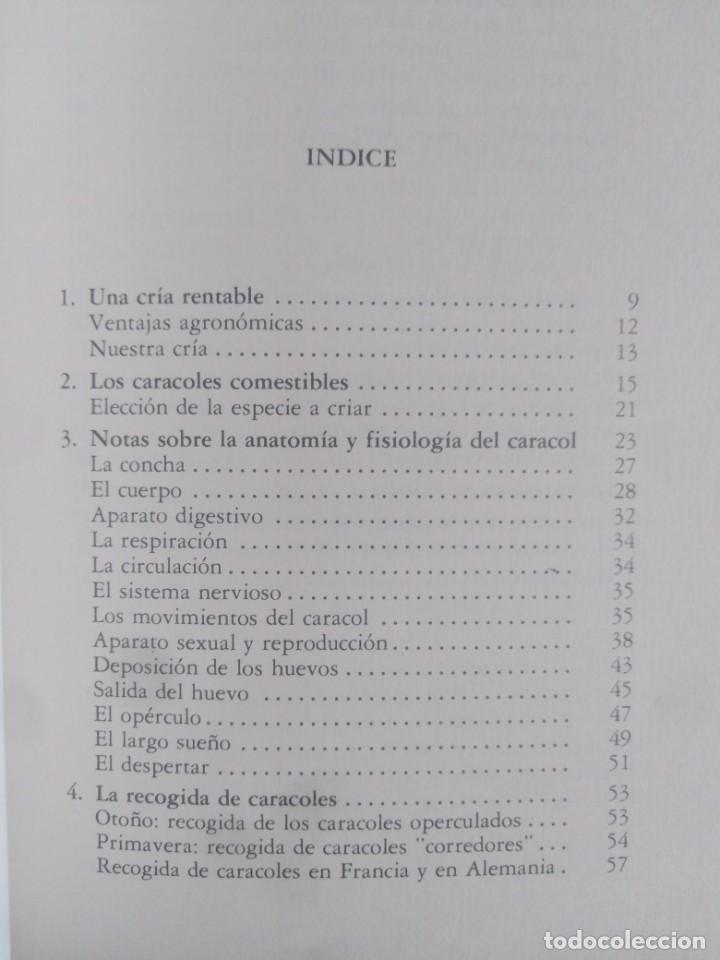 Libros de segunda mano: EL CARACOL - CR&Iacute;A Y EXPLOTACI&Oacute;N - Giuseppe Gallo - Foto 2
