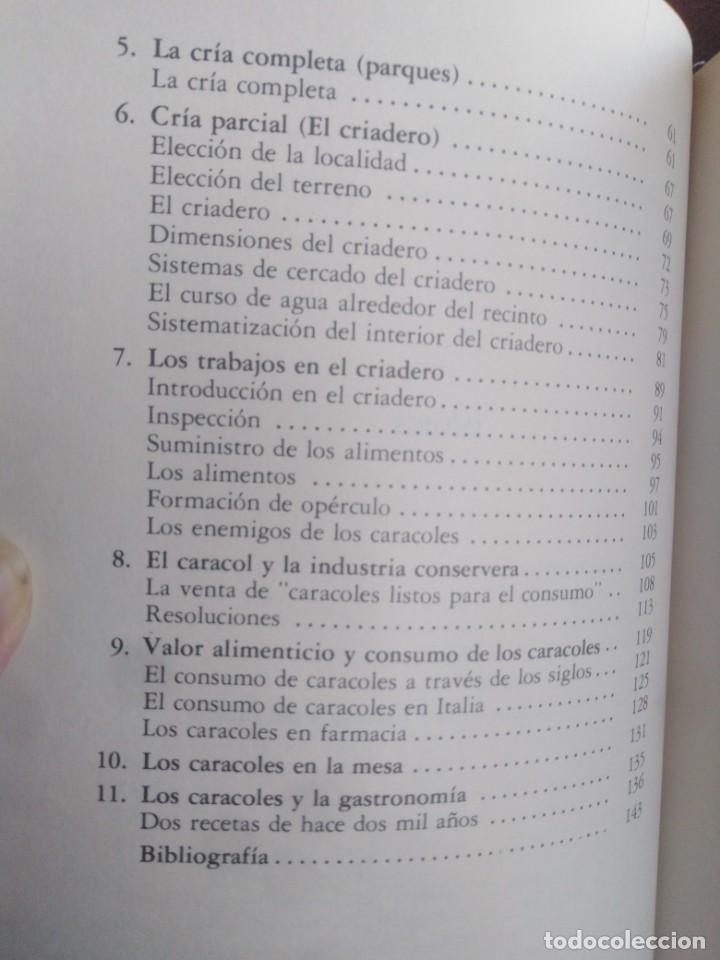 Libros de segunda mano: EL CARACOL - CR&Iacute;A Y EXPLOTACI&Oacute;N - Giuseppe Gallo - Foto 3