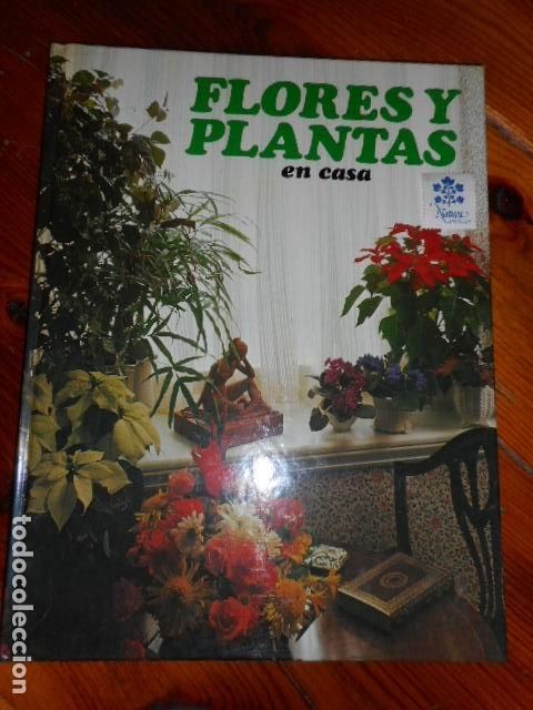 Libros de segunda mano: Flores y plantas en casa / Violet Stevenson / Editorial hmb - Foto 1