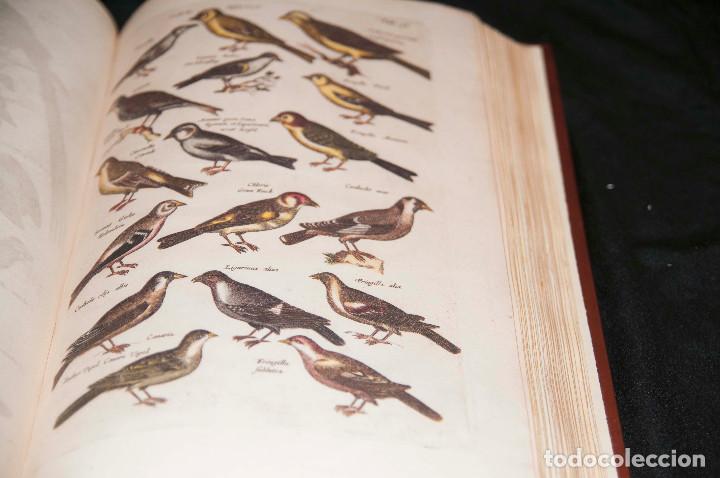 Libros de segunda mano: Historia Naturalis de Avibus - Silo&eacute; Facs&iacute;mil - Foto 1