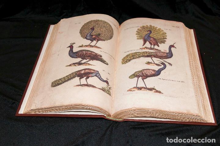 Libros de segunda mano: Historia Naturalis de Avibus - Silo&eacute; Facs&iacute;mil - Foto 4