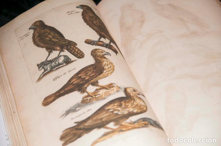 Libros de segunda mano: Historia Naturalis de Avibus - Silo&eacute; Facs&iacute;mil - Foto 7
