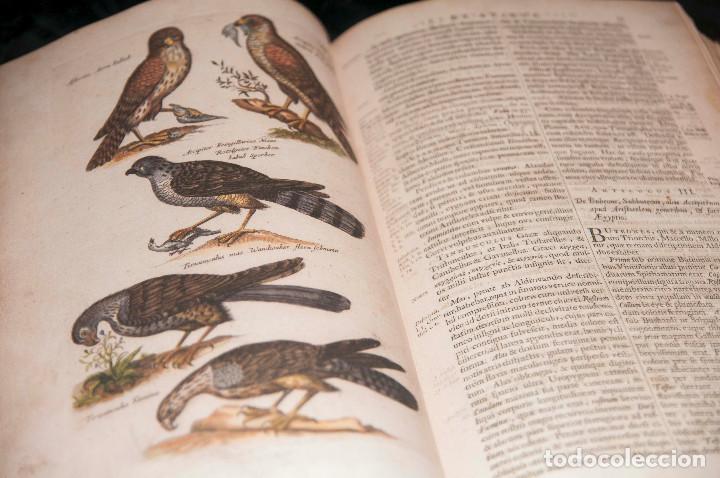 Libros de segunda mano: Historia Naturalis de Avibus - Silo&eacute; Facs&iacute;mil - Foto 8
