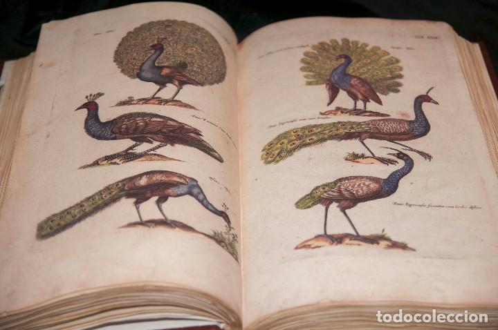Libros de segunda mano: Historia Naturalis de Avibus - Silo&eacute; Facs&iacute;mil - Foto 9