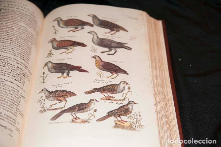 Libros de segunda mano: Historia Naturalis de Avibus - Silo&eacute; Facs&iacute;mil - Foto 11