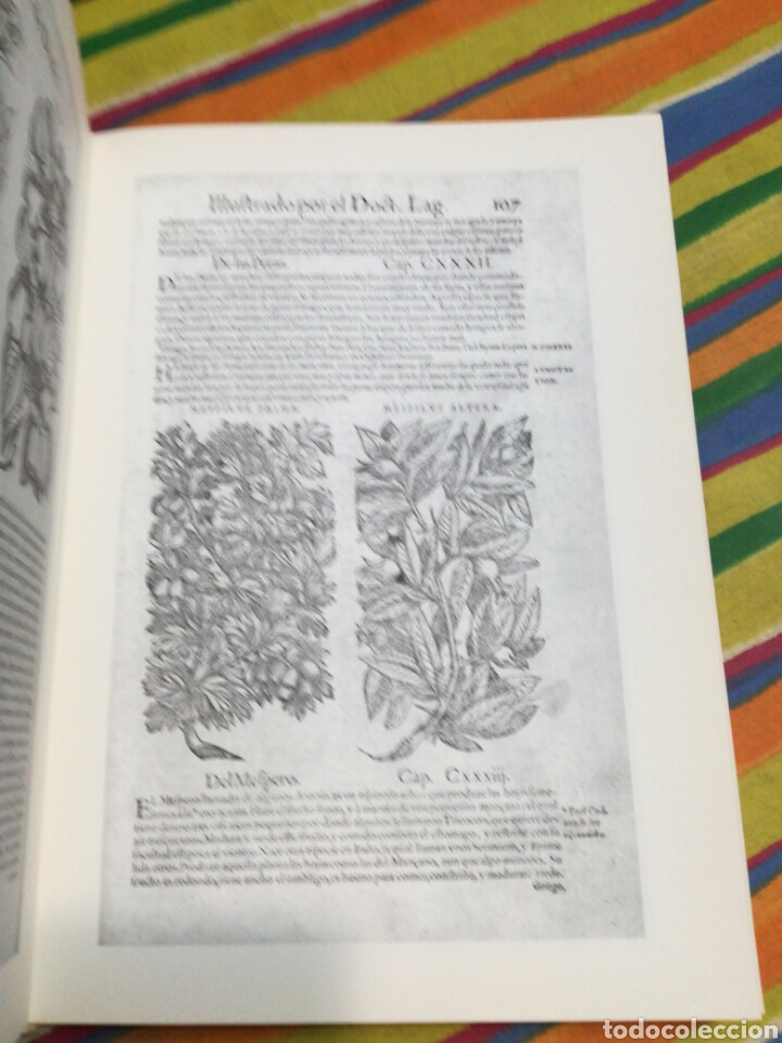 Libros de segunda mano: PEDACIO DIOSC&Oacute;RIDES ANAZARBEO I (1555). ANDR&Eacute;S LAGUNA. - Foto 2