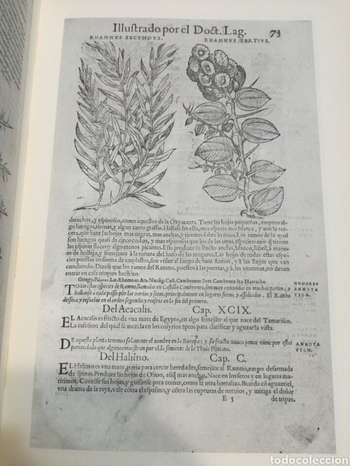 Libros de segunda mano: PEDACIO DIOSC&Oacute;RIDES ANAZARBEO I (1555). ANDR&Eacute;S LAGUNA. - Foto 3