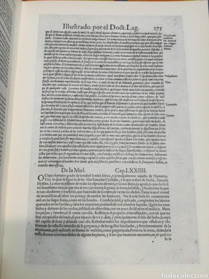 Libros de segunda mano: PEDACIO DIOSC&Oacute;RIDES ANAZARBEO I (1555). ANDR&Eacute;S LAGUNA. - Foto 4