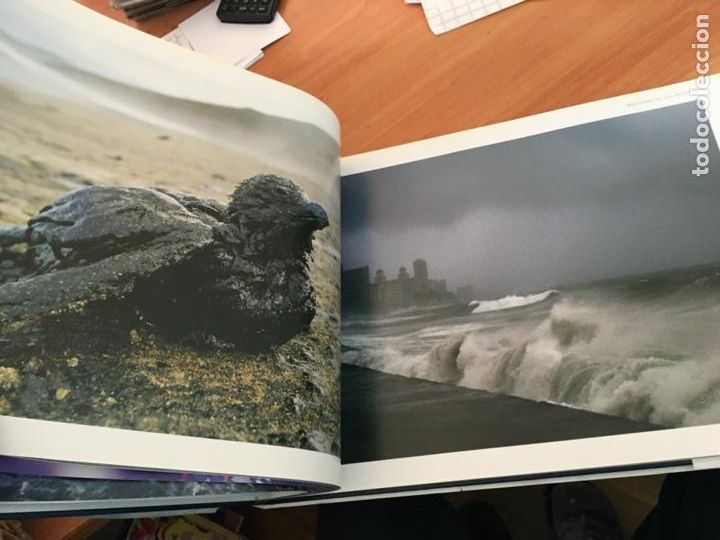 Libros de segunda mano: OCEANOS (DAVID MILLER) GRAN FORMATO (LBB10) - Foto 6