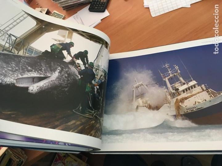 Libros de segunda mano: OCEANOS (DAVID MILLER) GRAN FORMATO (LBB10) - Foto 7
