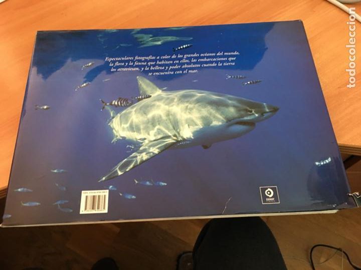 Libros de segunda mano: OCEANOS (DAVID MILLER) GRAN FORMATO (LBB10) - Foto 9
