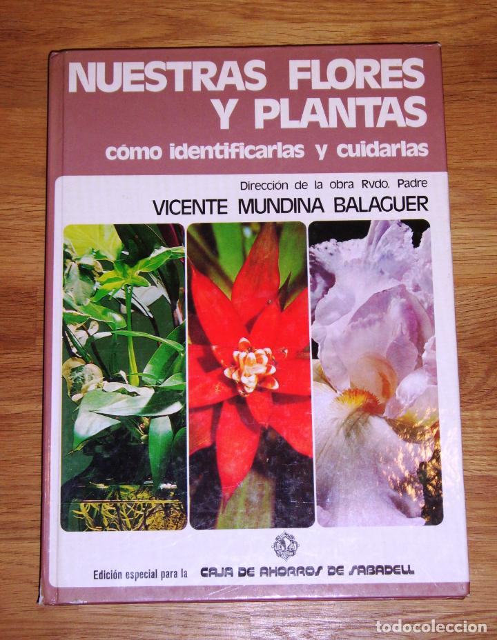 Libri di seconda mano: NUESTRAS FLORES Y PLANTAS : c&oacute;mo identificarlas y cuidarlas / direcci&oacute;n... P. Vicente Mundina Balagu