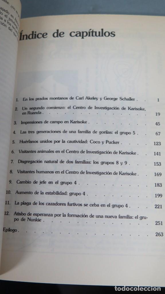 Libros de segunda mano: GORILAS EN LA NIEBLA. DIAN FOSSEY - Foto 2