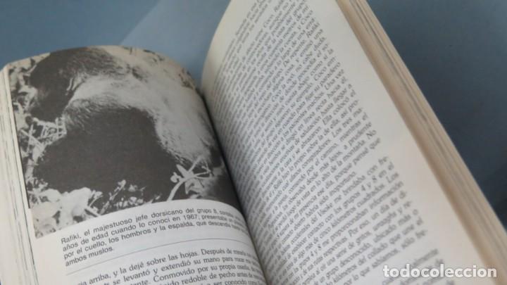 Libros de segunda mano: GORILAS EN LA NIEBLA. DIAN FOSSEY - Foto 3
