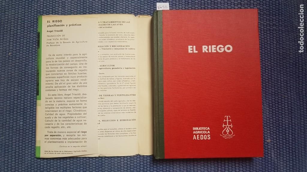 Libros de segunda mano: Trisoldi, &Aacute;ngel: El riego. Planificaci&oacute;n y pr&aacute;cticas - Foto 2
