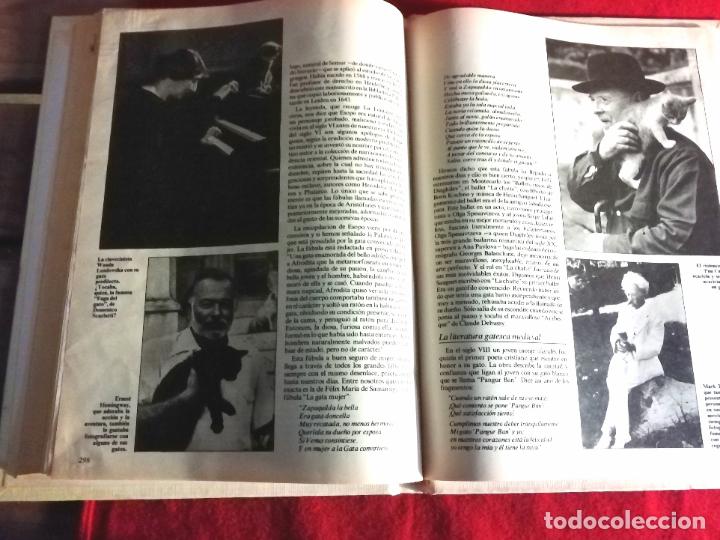 Libros de segunda mano: Los animales de compa&ntilde;&iacute;a - Foto 2