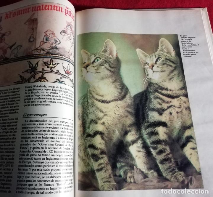 Libros de segunda mano: Los animales de compa&ntilde;&iacute;a - Foto 3