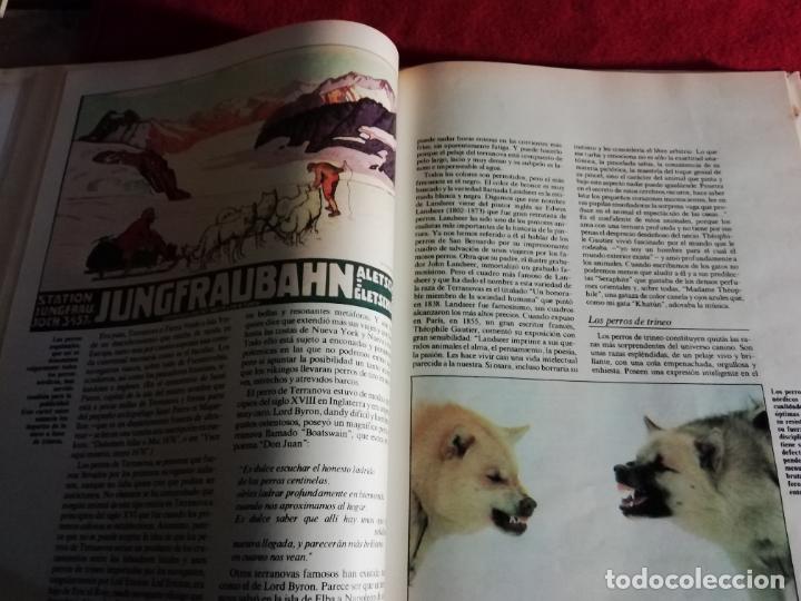 Libros de segunda mano: Los animales de compa&ntilde;&iacute;a - Foto 4