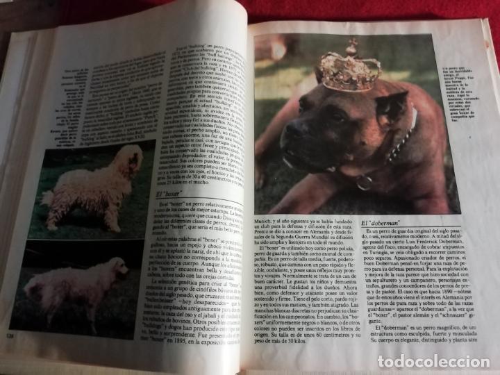 Libros de segunda mano: Los animales de compa&ntilde;&iacute;a - Foto 5