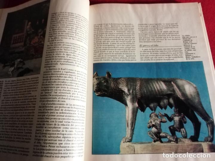 Libros de segunda mano: Los animales de compa&ntilde;&iacute;a - Foto 6